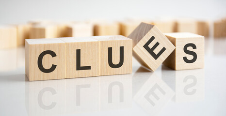 the word clues written on wooden cubes with assets icon on white background. asset management or financial accounting concept