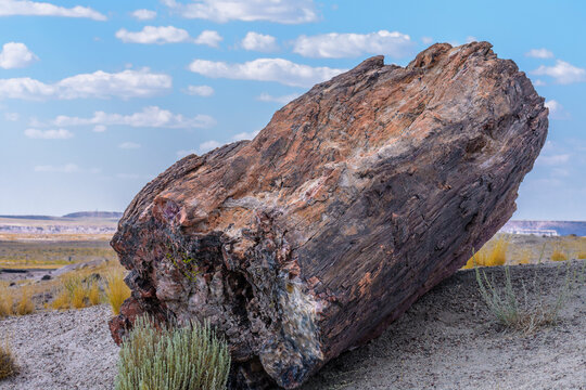 Image captured at the Petrified Forest NP Arizona. Crystalized wood laying all over the place. The colors are amazing.