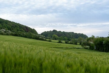 Beautiful green landscape in a countryside in the United Kingdom Southwest