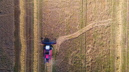 Aerial view combine harvester harvesting on the field. Harvesting wheat. Harvester machine working in field.