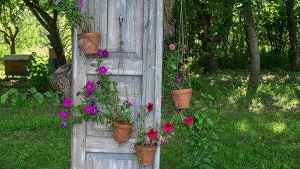 Fototapeta na wymiar Flowers on the old door in the garden. Landscape design. A door whose frame is decorated with a multicolored flower.