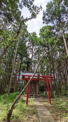 Fototapeta na wymiar Shrine in the forest