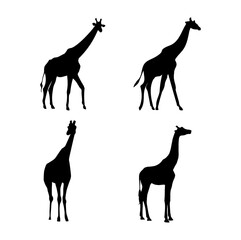 Giraffe silhouette set