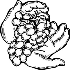 Grapes harvest in farmers hands. Etiquette logo design for wine bottle. Autumn rural vino festival. Winery production. Organic healthy food. Hand drawn retro vintage illustration. Old style drawing. 