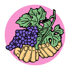 Grapes harvest in farmers hands. Etiquette logo design for wine bottle. Autumn rural vino festival. Winery production. Organic healthy food. Hand drawn retro vintage illustration. Old style drawing. 