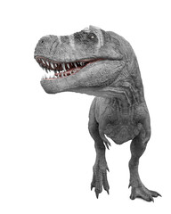 Obraz na płótnie Canvas tyrannosaurus rex is looking for food