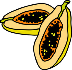 Tropical sweet fruit papaya. Healthy vegan food, agricultural harvest. Tasty dessert for diet. Hand drawn  vector illustration. Comic cartoon old style line art drawing.