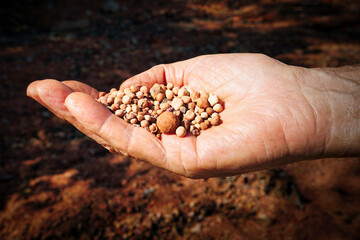 Bauxite from Weipa in North Queensland Australia