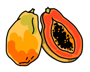 Tropical sweet fruit papaya. Healthy vegan food, agricultural harvest. Tasty dessert for diet. Hand drawn colourful illustration. Comic cartoon old style line drawing.