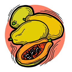 Tropical sweet fruit papaya. Healthy vegan food, agricultural harvest. Tasty dessert for diet. Hand drawn colourful illustration. Comic cartoon old style line drawing.