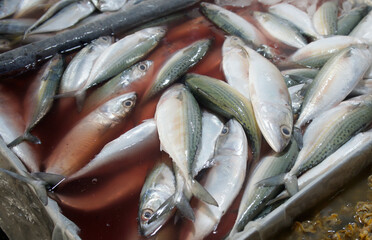 Freshly caught fish at pasar baru market in jambi, indonesia