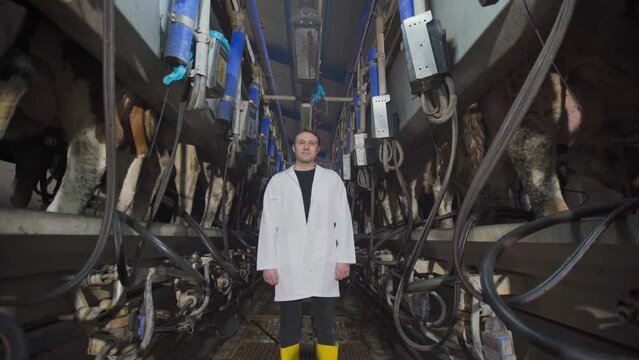 Cow Milking parlor, dairy farm.
Image of farmer doing well, confident farmer looking at camera in cow parlor.
