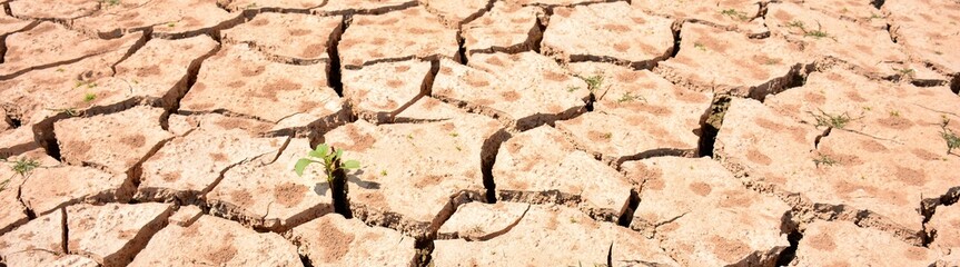 Terreno agrietado por la falta de agua, sequía