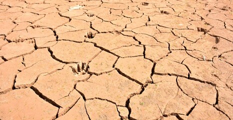 Terreno agrietado por la falta de agua, sequía