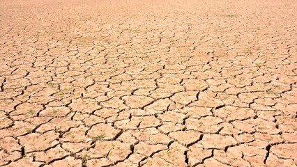 Terreno agrietado por la falta de agua, sequía