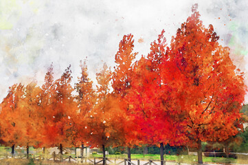 Landscape of trees in a forest in autumn in watercolor illustration and with paint splashes