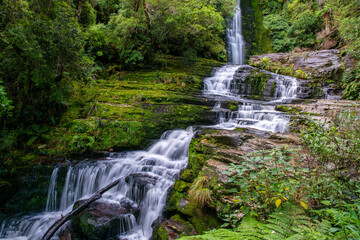 McLeann Waterfall in te lush rain forest in the Catlins