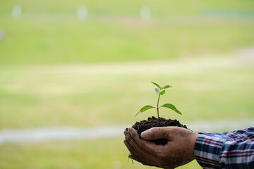 Mobile plants growing and Eco concept and green earth. Blurred background. Copy space for text.