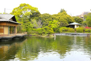 Obraz premium 平成庭園