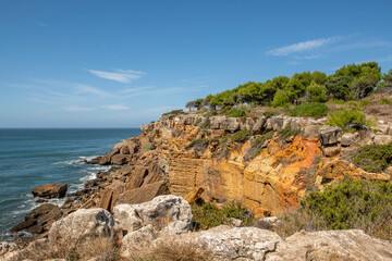 Nice brownstone cliffs on the Portuguese Atlantic coast crowned by a small grove of pine trees on a warm summer day with the breeze on the rocks near the sea