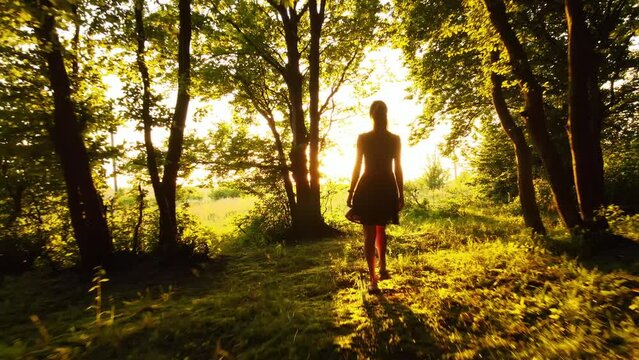 Rear silhouette view of young happy woman standing alone in dark woods with raised up hands enjoying summer evening. Victory and success concept