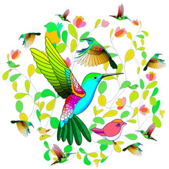 Beautiful colorful flying hummingbirds