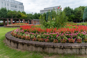 文翔館の花壇