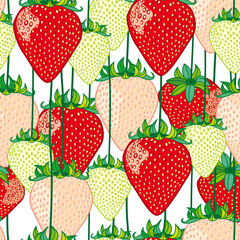 Big fresh strawberries in the field
