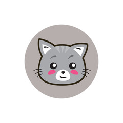 cat and mouse