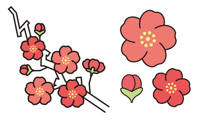 梅のイラスト素材