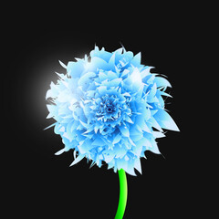 blue flower