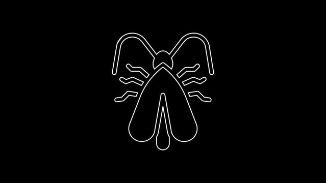 White line Clothes moth icon isolated on black background. 4K Video motion graphic animation