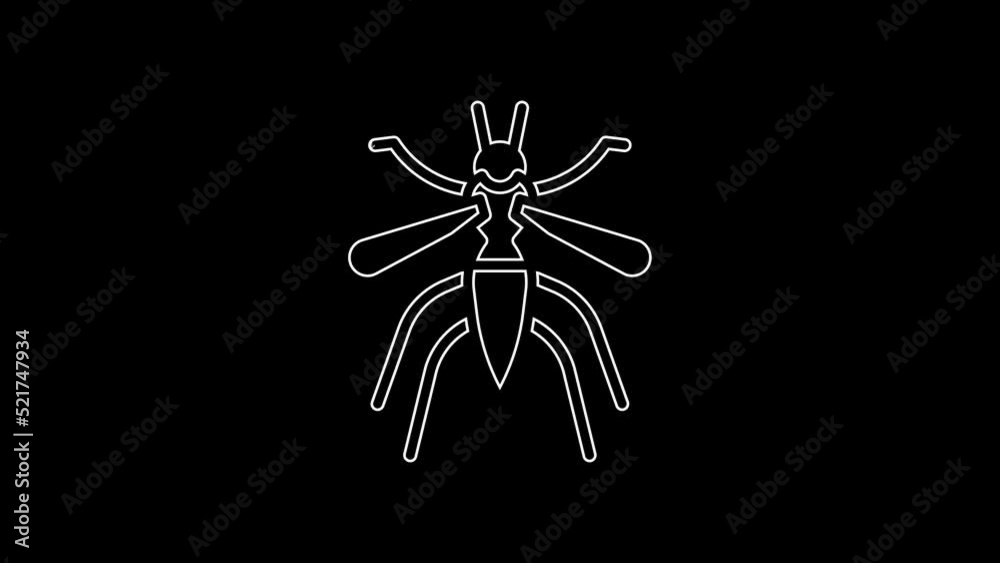 Poster White line Mosquito icon isolated on black background. 4K Video motion graphic animation