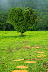 big green tree in heart shape with white mist at spring