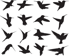Hummingbirds silhouettes