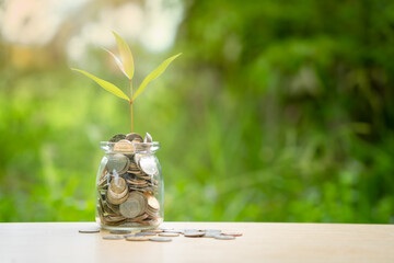 Stacking coins in a jar on wooden , nature background for financial investment and interes . Saving money for wealth, pension retirement and growth of business income concept.