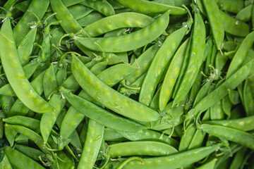 close up of many green beans, green texture