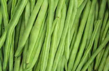 close up of many green beans, green texture