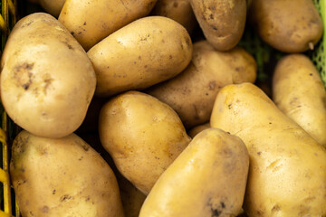 plenty of fresh potatoes on the market
