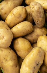 plenty of fresh potatoes on the market