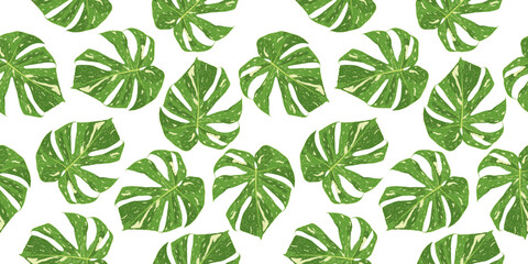 Monstera leaf seamless pattern background vector illustration