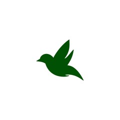 illustration of a bird