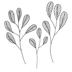 Hand draw leaves black. Doodle style. Simple sketch
