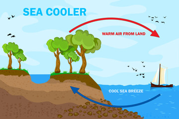 Science poster design for sea and land breeze. Shore wind scheme. Air movement with thermal warm and cold air circulation diagram. Local weather cause. Formation of weather in a certain area. Vector
