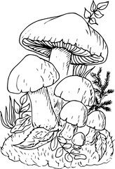Doodle style illustration of mushrooms in the grass.Mushrooms and grass on a white background. A doodle-style drawing. Decorative element for design