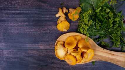 Chanterelle mushrooms in a wooden spoon, on a dark wooden background, with flowers of parsley and dill. Collecting edible mushrooms in the forest. Space for text
