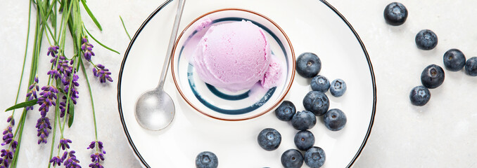 Organic blueberry ice-cream on neutral background.