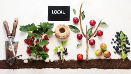 Springtime gardening composition on neutral background.