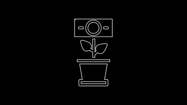 White line Money plant in the pot icon isolated on black background. Business investment growth concept. Money savings and investment. 4K Video motion graphic animation