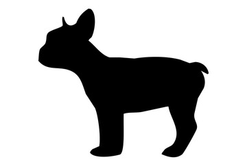 Silhouette of the body of a French bulldog standing on the side